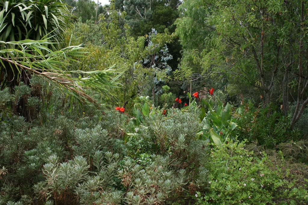 Black Cockatoo Lodge Nannup Exterior foto